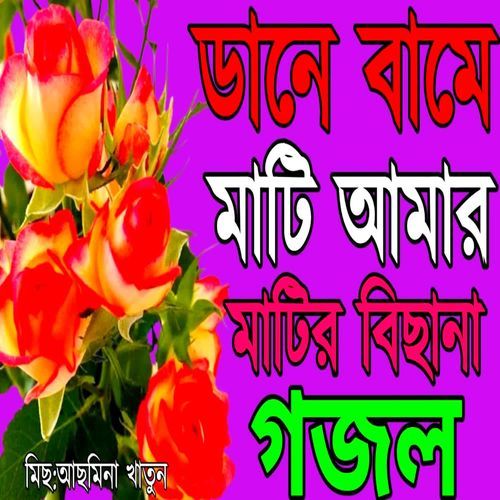 Ami More Gele Amay Tumra Voila Zaiona