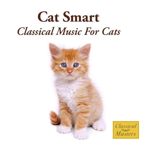 Mozart: Turkish March