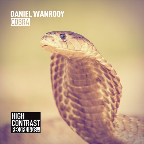 Daniel Wanrooy