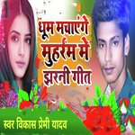 Dhoom Machayenge Muharram Mein