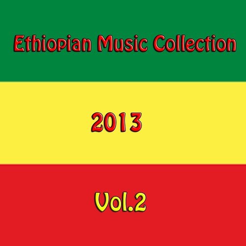 Birtu Fikir Song Download From Ethiopian Music Collection 2013 Vol 2 Jiosaavn