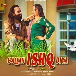 Gallan Ishq Diya-Ph0,aCt2RnY