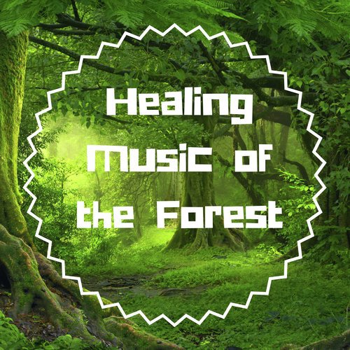 Healing Music of the Forest - Sounds of Nature