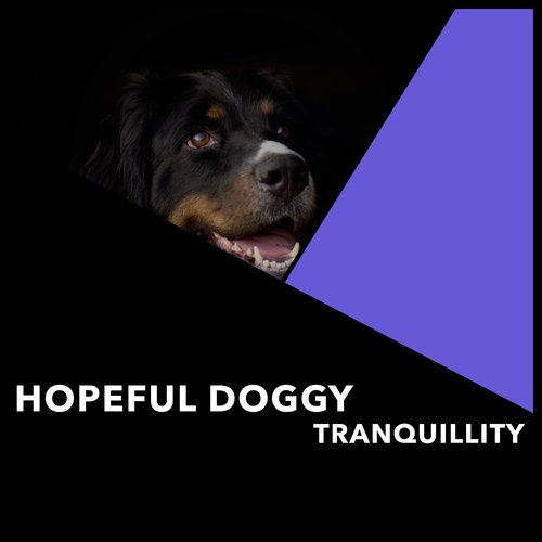 A Joyful Dog's Lullaby cover art