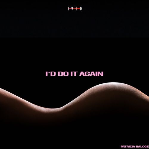 I'd Do It Again cover art