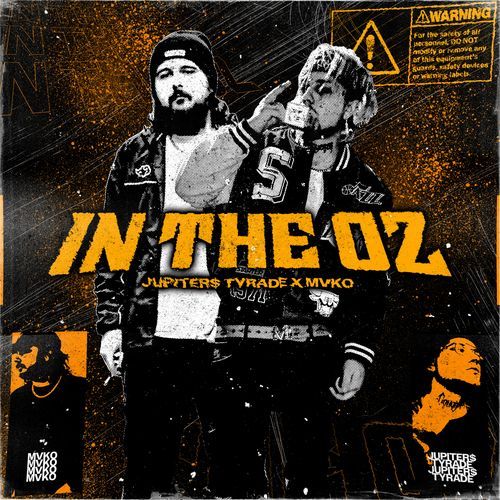 IN THE OZ cover art