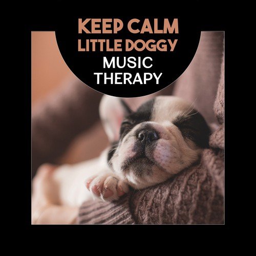 Keep Calm Little Doggy
