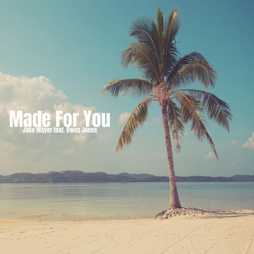 Made for You (feat. Owen Jones)