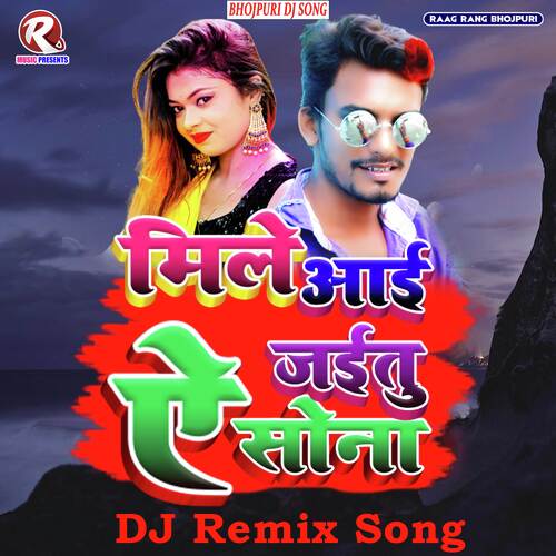 Mile Aai Jaitu Ye Sona (Bhojpuri Dj Remix)