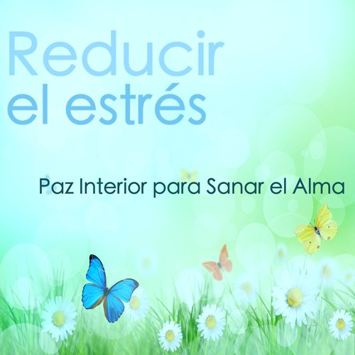 Musica Suave cover art