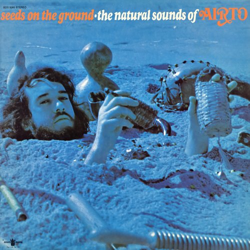 Seeds On the Ground - The Natural Sounds of Airto_poster_image