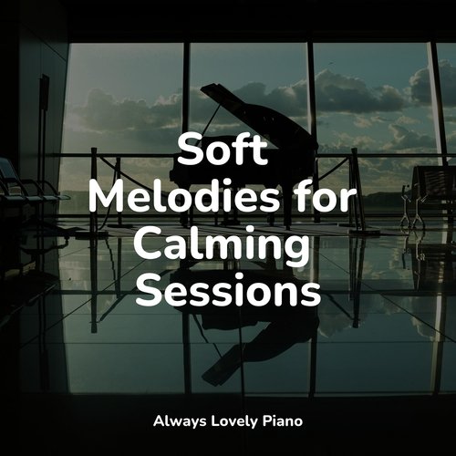 Soft Melodies for Calming Sessions