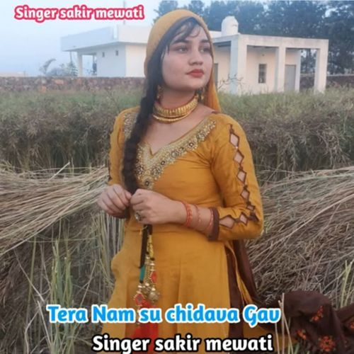 Tera Nam su chidava Gav