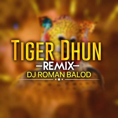 Tiger Dhun (Remix)