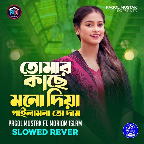 Tomer Kase Mono Diya Pailam Na To Dam (Slowed Reverb)