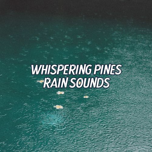 Whispering Pines Rain Sounds for Sleep and Relaxation in a Tranquil Forest Atmosphere