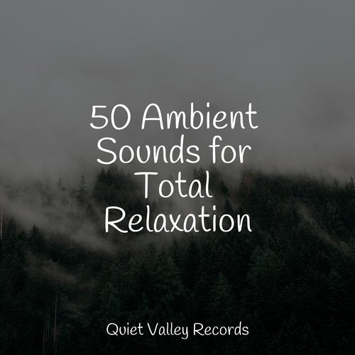 50 Ambient Sounds for Total Relaxation