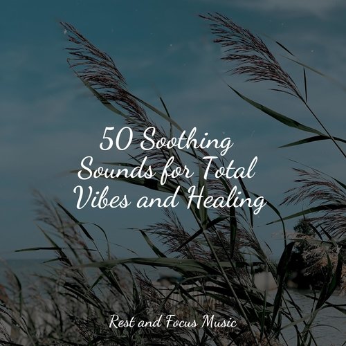 50 Soothing Sounds for Total Vibes and Healing_poster_image