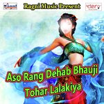 Raja Chhodi Ke Aail Bidesh - Various Artists