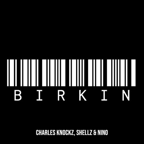 Birkin_poster_image