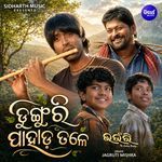 Dungri Pahad Tale (From 