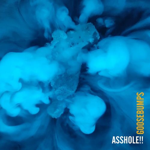 GOOSEBUMPS