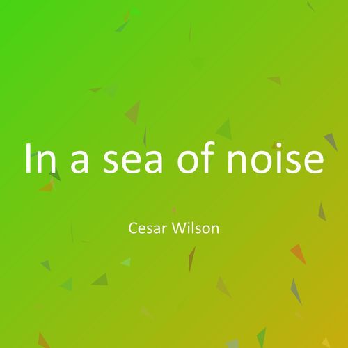 In a sea of noise cover art
