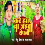 Kare Ham Na Jaibo Ropani