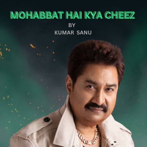 MOHABBAT HAI KYA CHEEZ