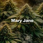 Mary Jane