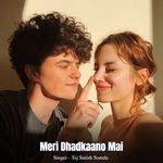 Meri Dhadkaano Mai