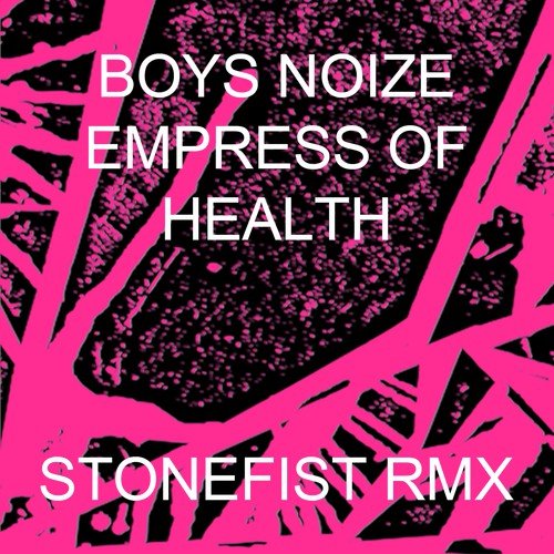 STONEFIST (BOYS NOIZE x HEALTH x EMPRESS OF :: STONEFIST RMX)