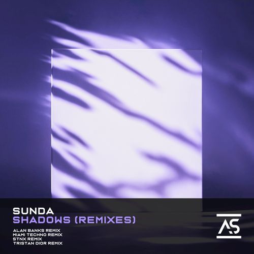 Shadows (Afraid of the Dark) (Miami Techno Remix) cover art