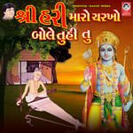 Shri Hari Maro Charkho Bole Tu Hi Tu