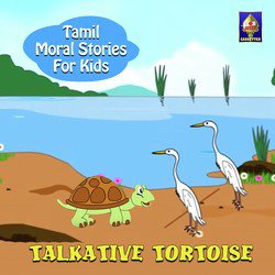 Talkative Tortoise-KEU4fycGB3o