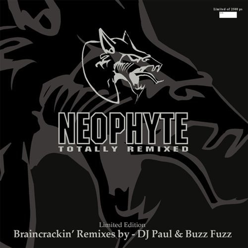 Braincrackin (Buzz Fuzz Remix)