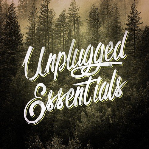 Unplugged Essentials