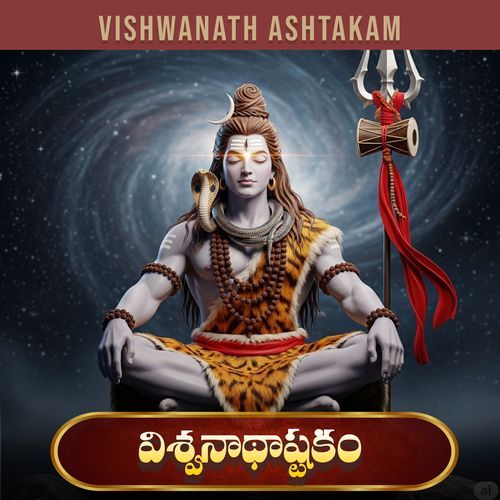 Vishwanath ashtakam