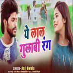 Ye Lal Gulabi Rang