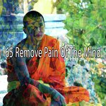 65 Remove Pain of the Mind