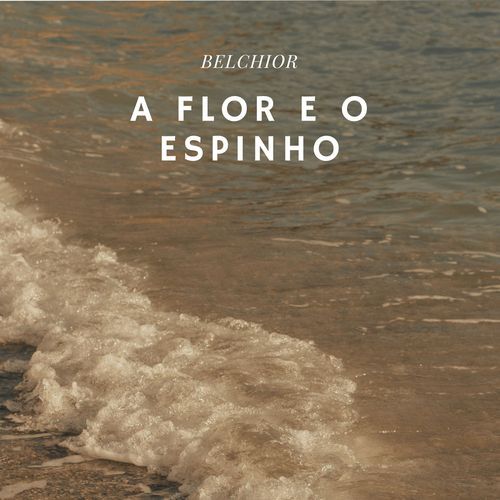 A Flor e o Espinho