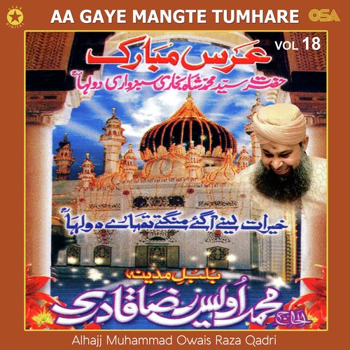 Aa Gaye Mangte Tumhare, Vol. 18_poster_image