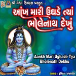 Aankh Mari Ughade Tya Bholenath Dekhu