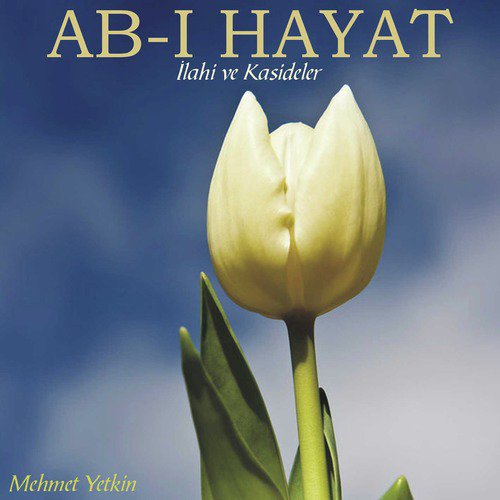 Bende-i Muhammed cover art