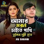 Amar Moron Caite Pakhi