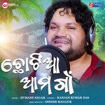 Chotia Aama Gaan