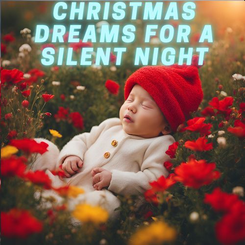 Christmas Dreams for a Silent Night_poster_image