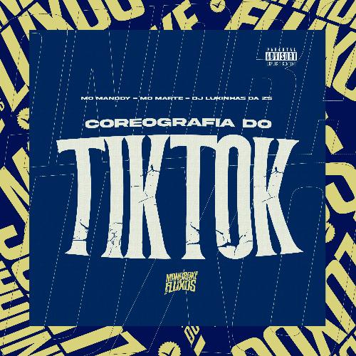 Coreografia do Tiktok_poster_image