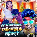 Dhori Khodale Ba Taika Re Sitamrhi Ke Laika Re