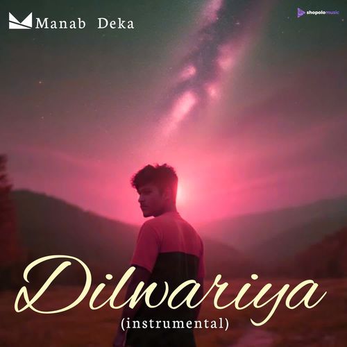 Dilwariya (instrumental)